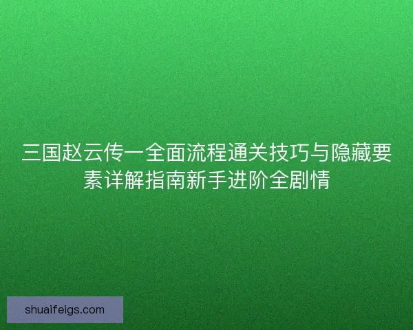 三国赵云传一全面流程通关技巧与隐藏要素详解指南新手进阶全剧情