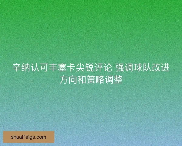辛纳认可丰塞卡尖锐评论 强调球队改进方向和策略调整